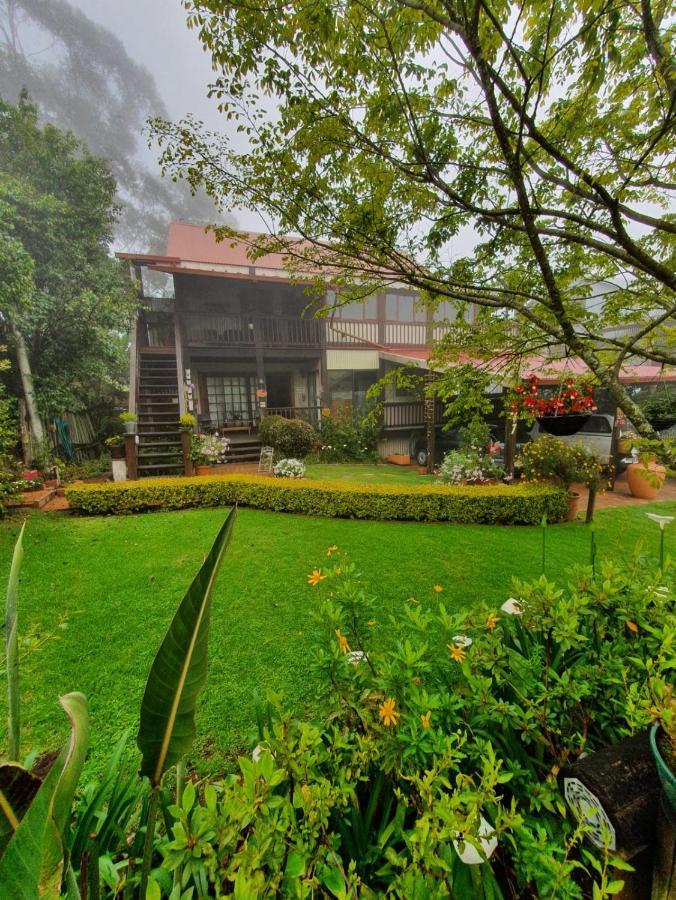 Kaapsehoop Kattekwaad Accommodation מראה חיצוני תמונה