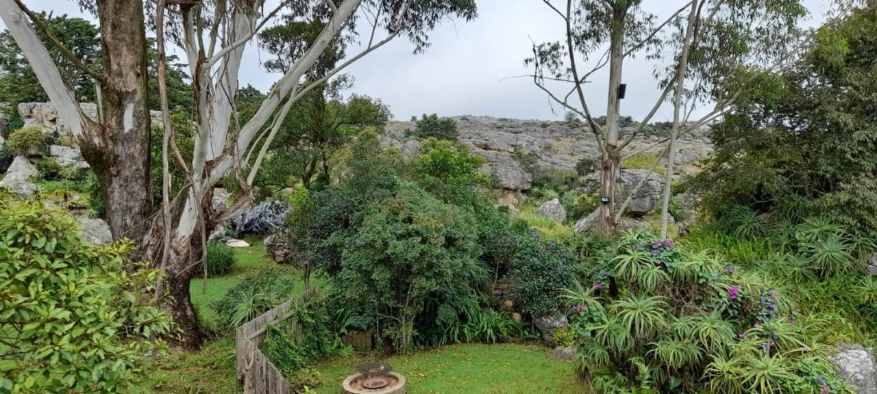 Kaapsehoop Kattekwaad Accommodation מראה חיצוני תמונה