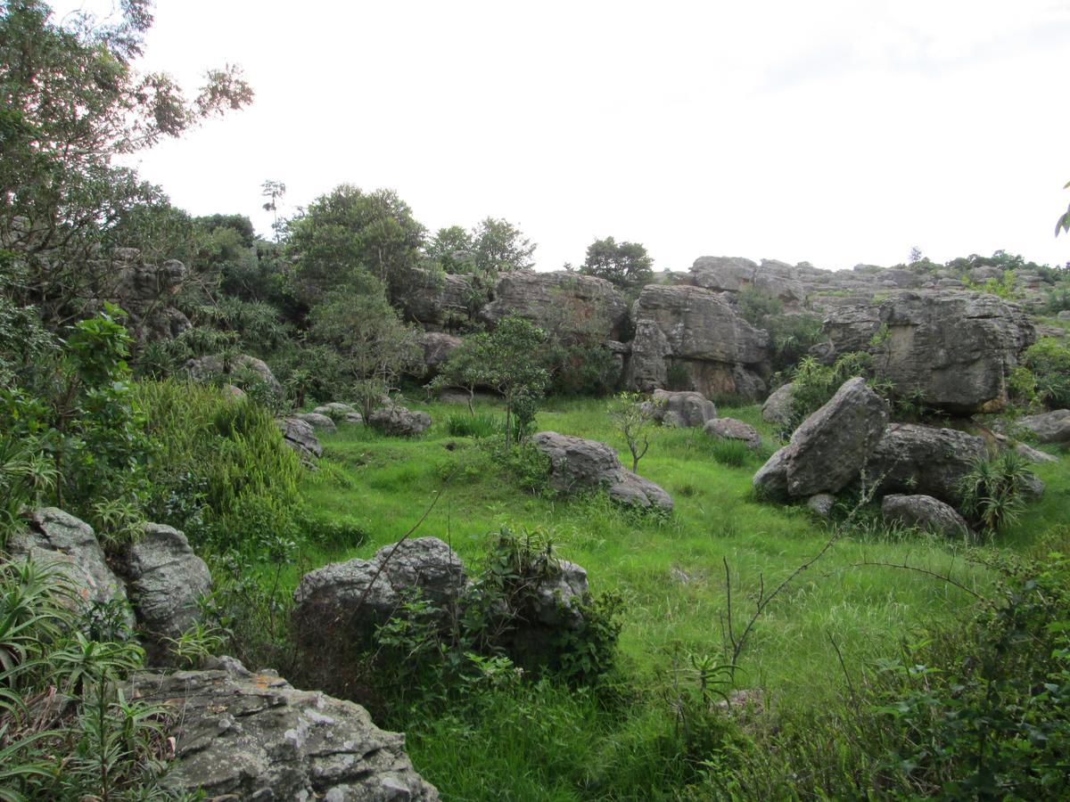 Kaapsehoop Kattekwaad Accommodation מראה חיצוני תמונה