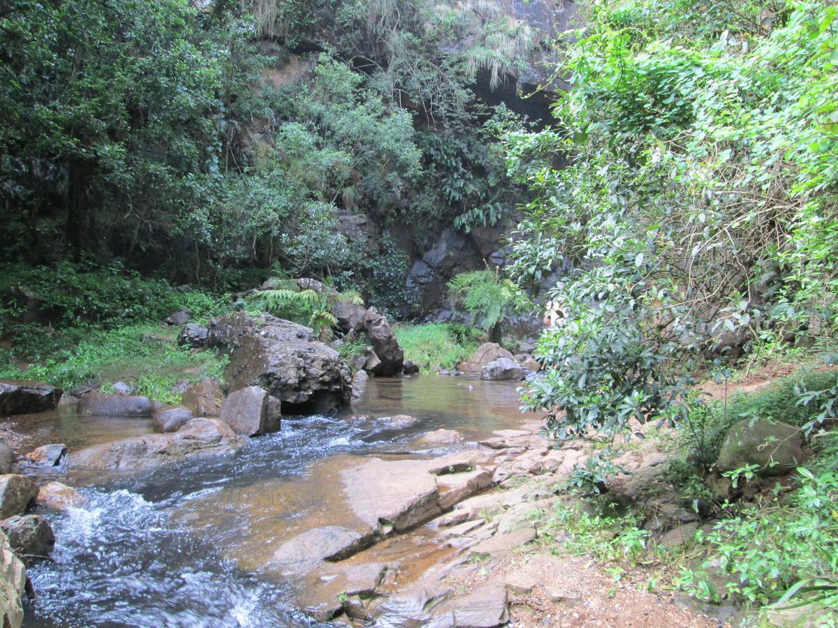 Kaapsehoop Kattekwaad Accommodation מראה חיצוני תמונה